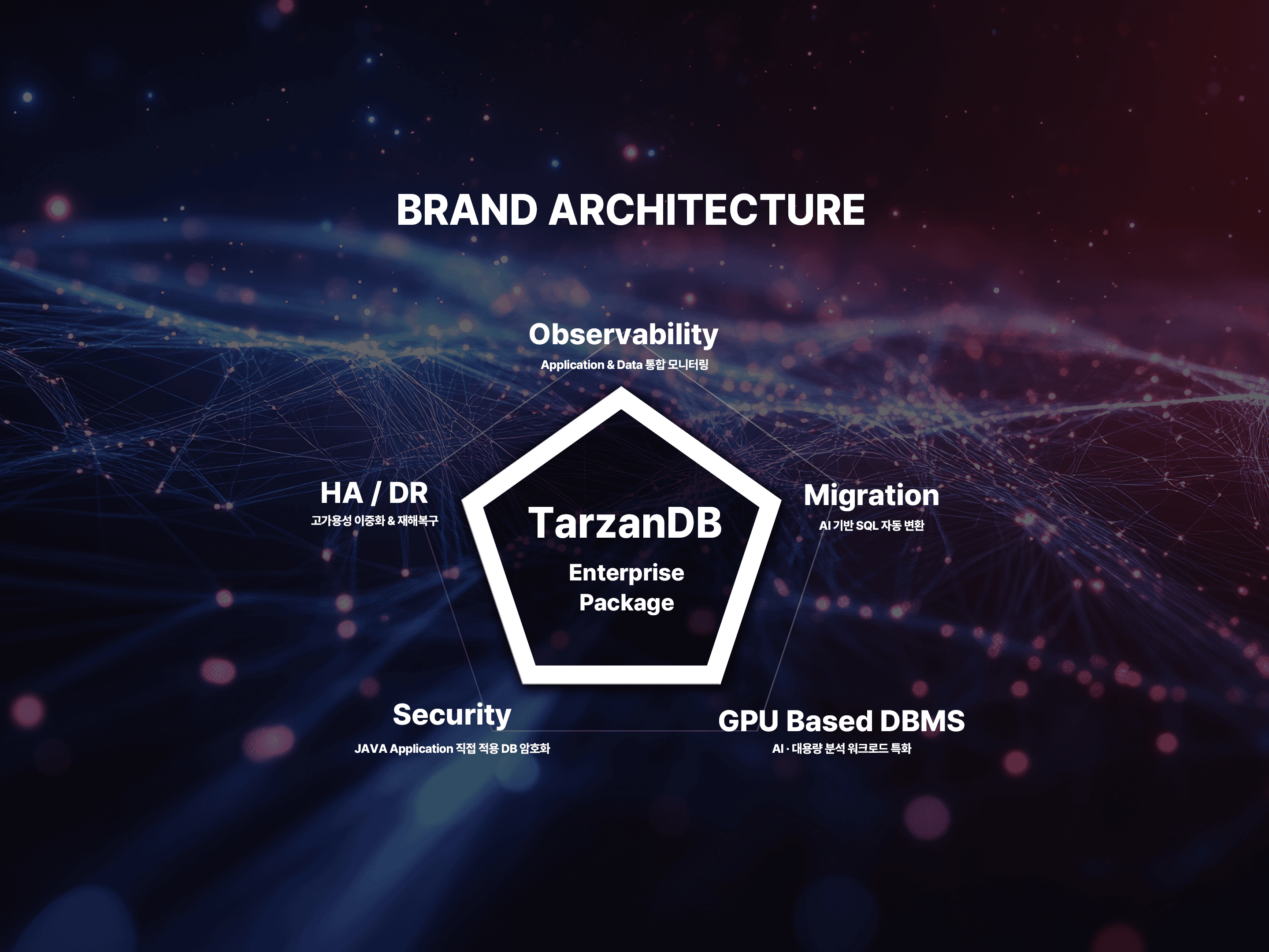 TarzanDB
